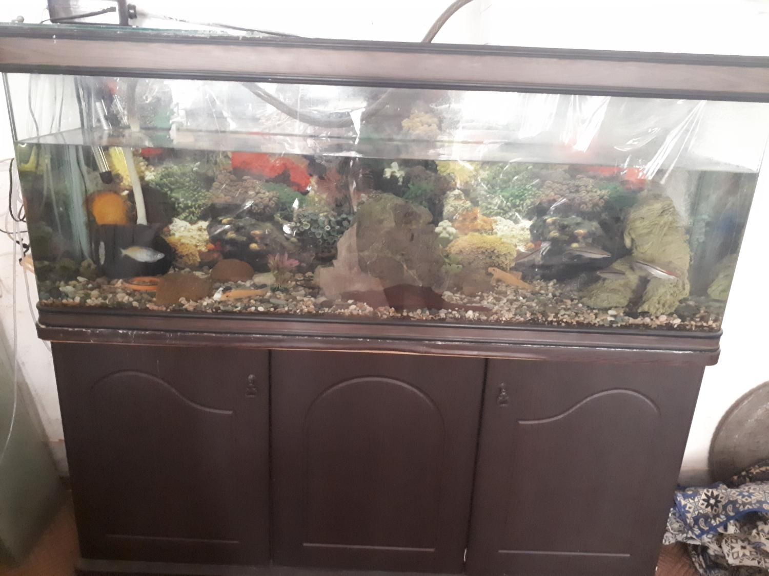 آکواریوم ماهیران 1.5 متری با میز|ماهی|اصفهان, ملاصدرا|دیوار