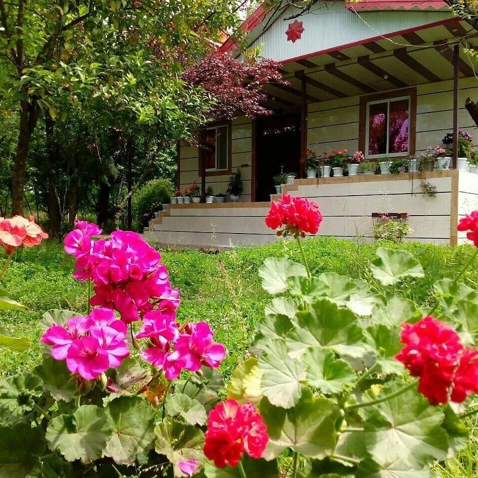 باغ ویلای خاطره ها در محیطی دربست و زیبا|اجارهٔ کوتاه‌مدت ویلا و باغ|ماسال, |دیوار