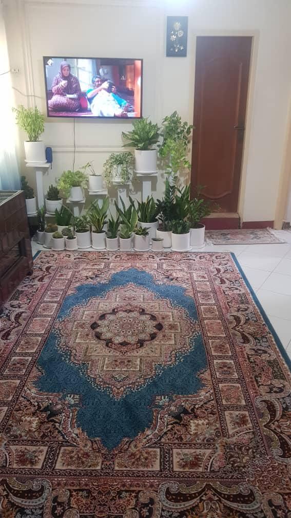 فروش آپارتمان ۵۰ متری ۲ خواب سند/پشت نظام مهندسی|فروش آپارتمان|رشت, دیلمان|دیوار