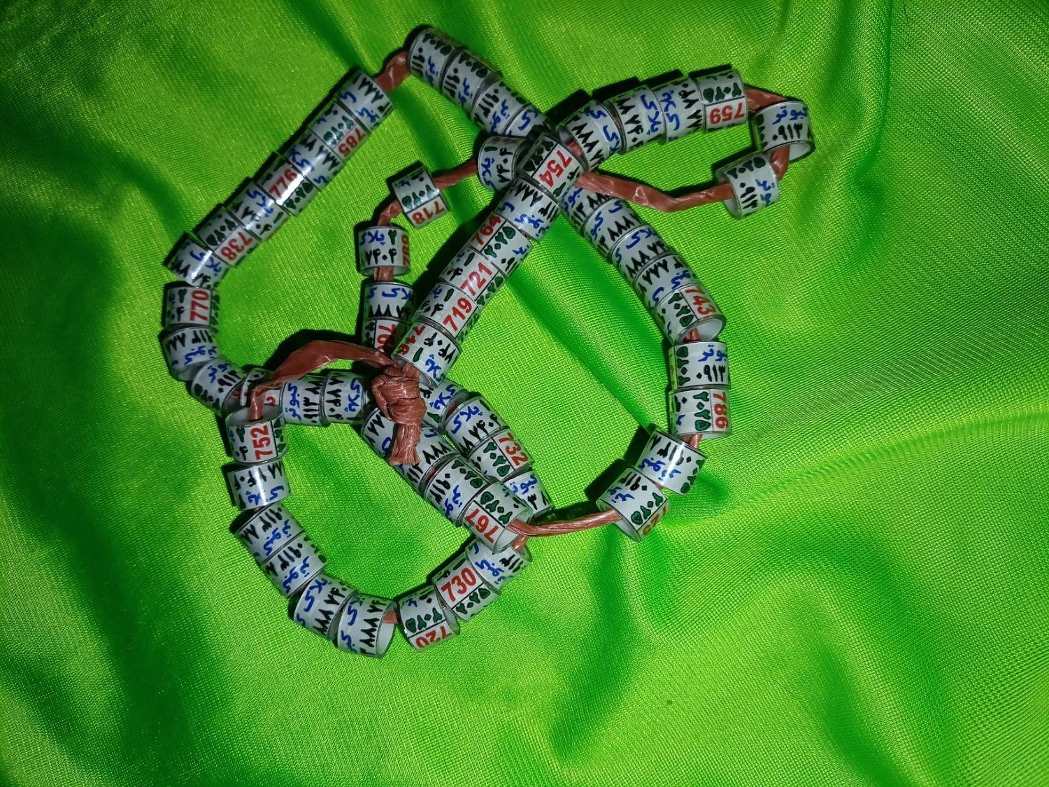 شماره پلاک کبوتر ساده|لوازم جانبی حیوانات|شیراز, طلاب|دیوار