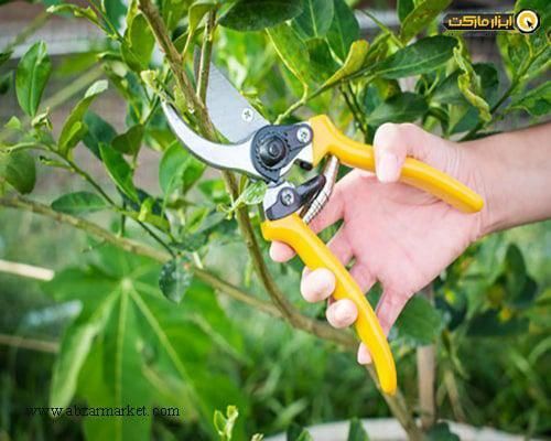 باغبان باتجربه هستم آماده ب کار|خدمات باغبانی و درختکاری|تهران, بهارستان|دیوار