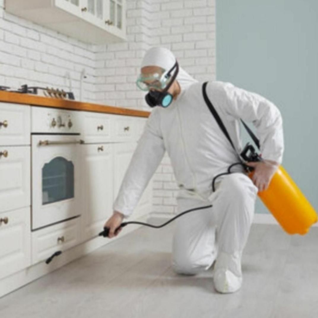 شرکت سمپاشی موریانه زدایی سم پاشی ساس سوسک ریز|خدمات نظافت|اهواز, کوی مهدیس|دیوار