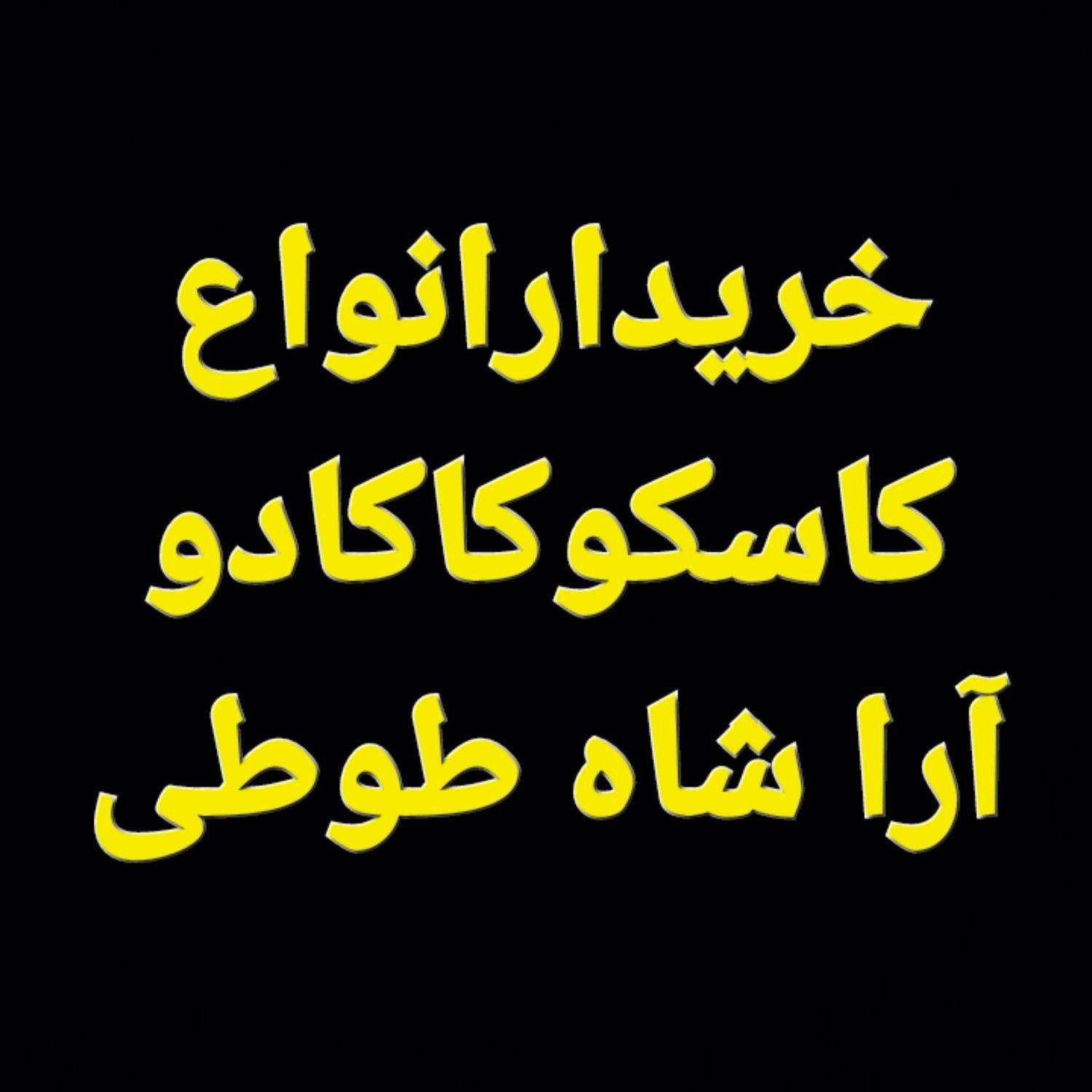 انواع کاسکو کاکادو آرا شاه طوطی درب منزل شما|پرنده|تهران, صادقیه|دیوار