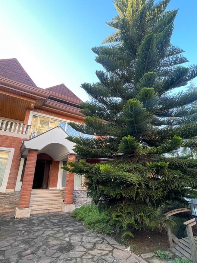 ویلا استخر دار رهن کامل|اجارهٔ خانه و ویلا|چالوس, |دیوار