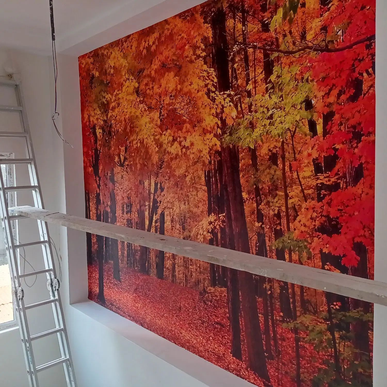 کاغذدیواری حراجی ونصب کاغذدیواری -پخش پرده زبرا|خدمات پیشه و مهارت|فردیس, فردیس|دیوار