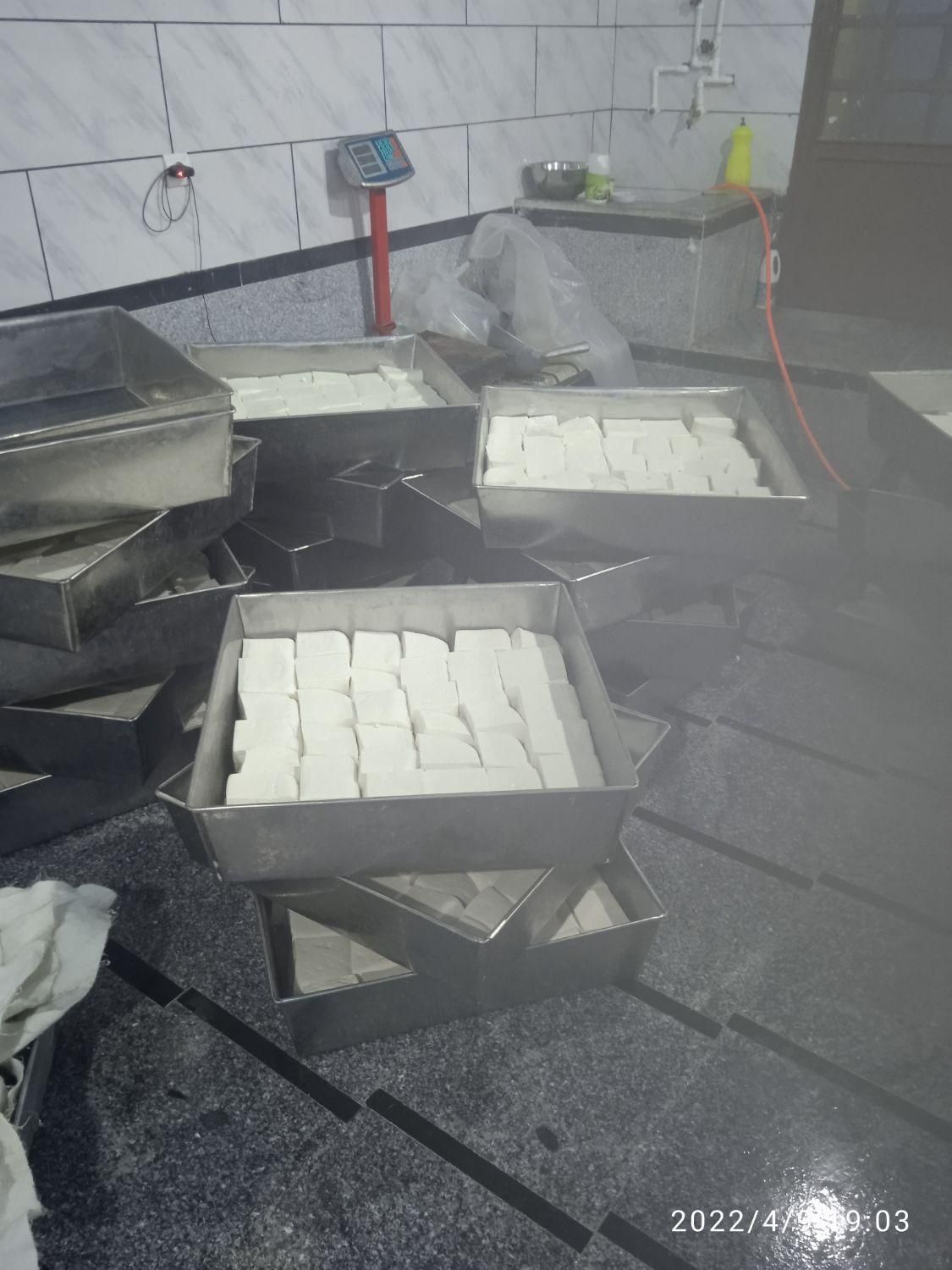 پنیرگوسفندی لیقوان|عمدهفروشی|تبریز, |دیوار