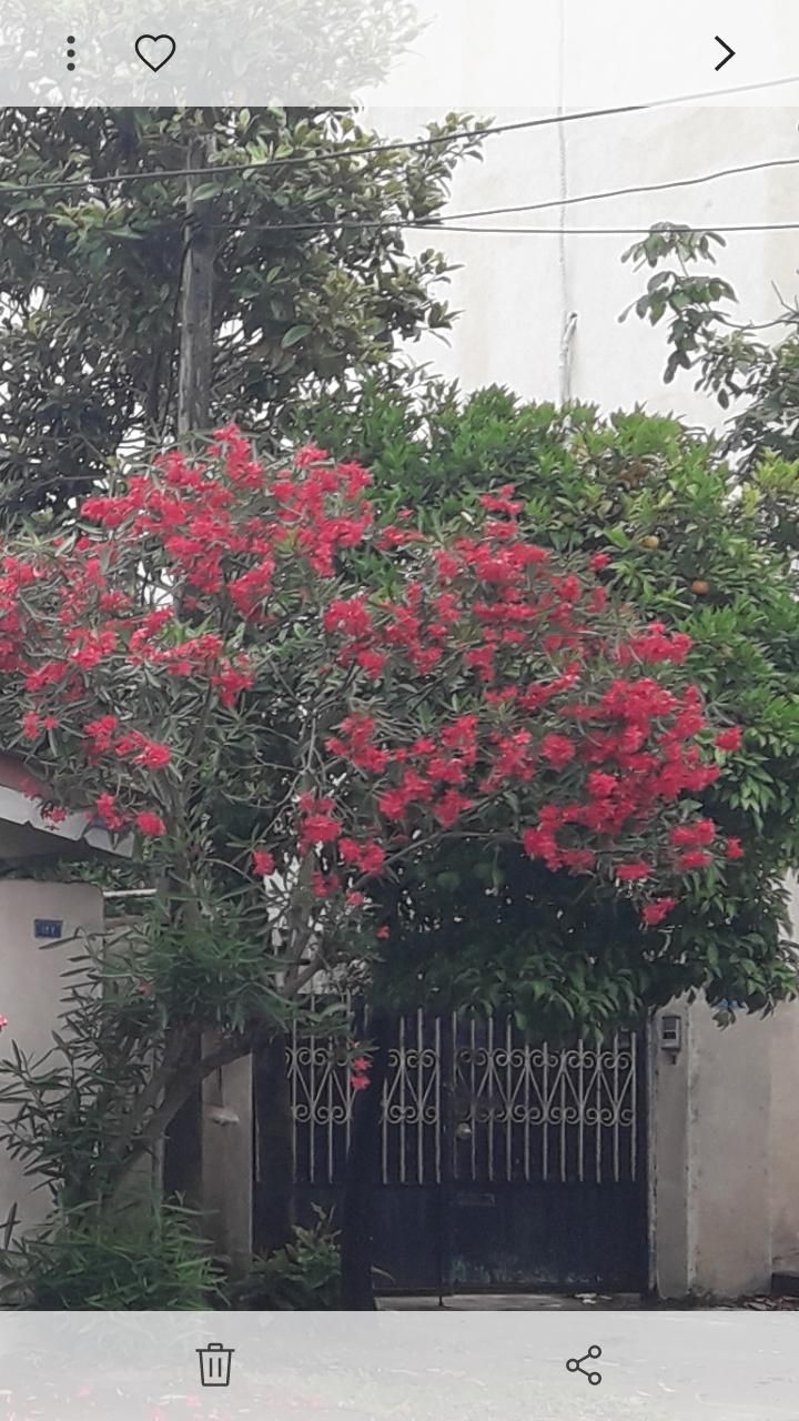مقازه ۶۰ متری چهارراه نورباران.|اجارهٔ مغازه و غرفه|اصفهان, باغ کاران|دیوار