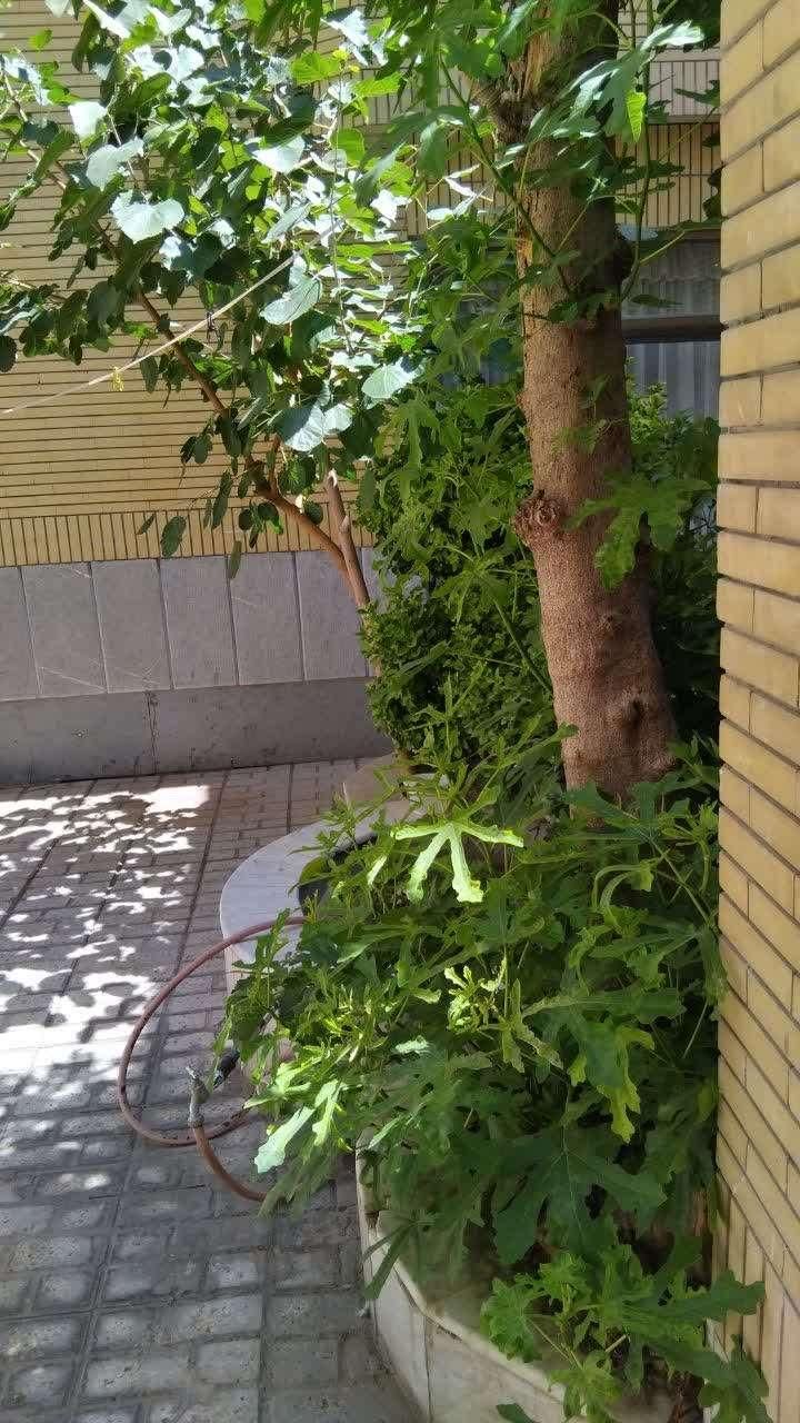 تهاتر ویلایی در محدوده سعدآباد با ۲ واحد آپارتمان|فروش خانه و ویلا|مشهد, سعد آباد|دیوار