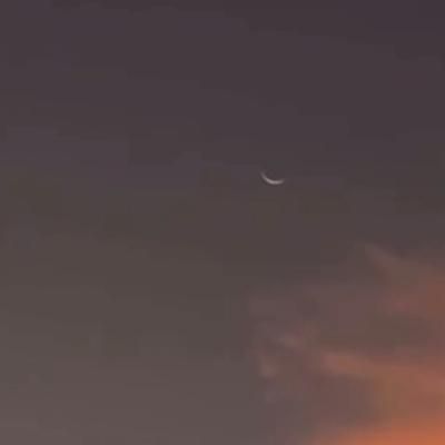 مدارک گمشده ماشین و گواهینامه|اشیا|قشم, |دیوار