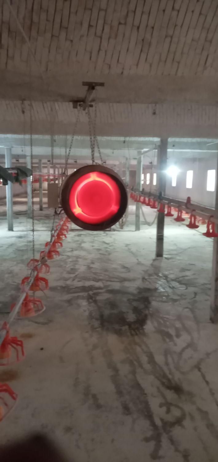 فرش‌انواع ‌مشعل گاز وگازوئیلی وجت‌هیتر ‌ومه‌پاش|آبگرمکن، پکیج، شوفاژ|بیرجند, |دیوار