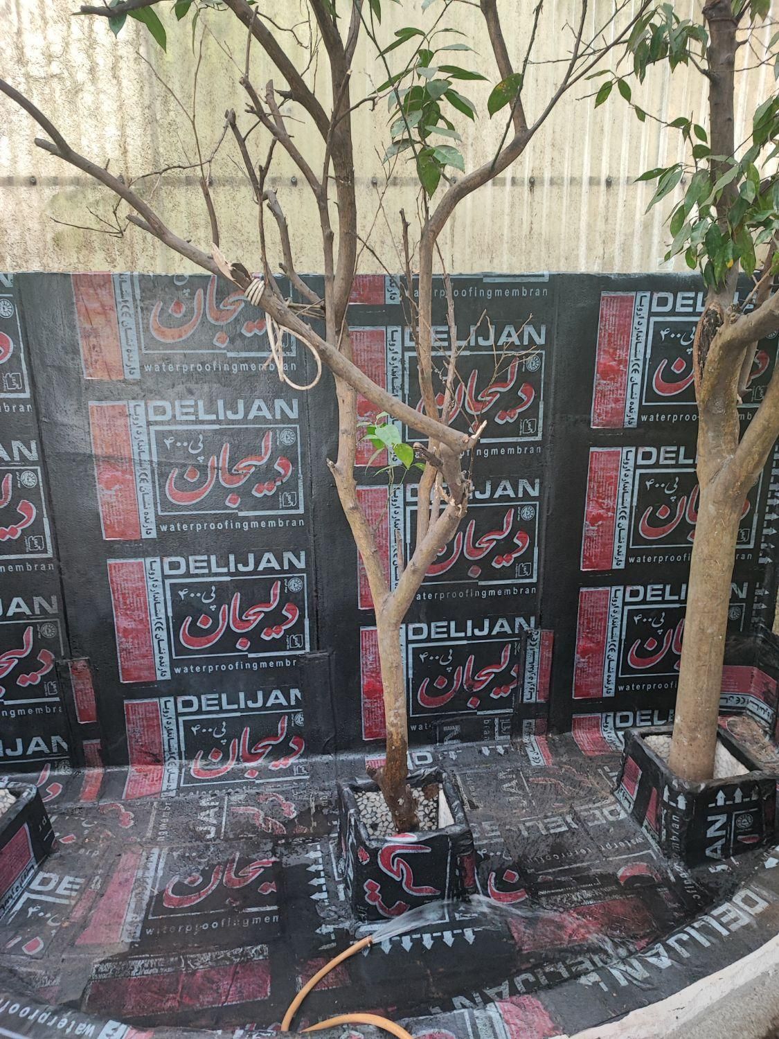 نمایندگی ایزوگام دلیجان و تبریز|خدمات پیشه و مهارت|لاهیجان, امیرشهید|دیوار