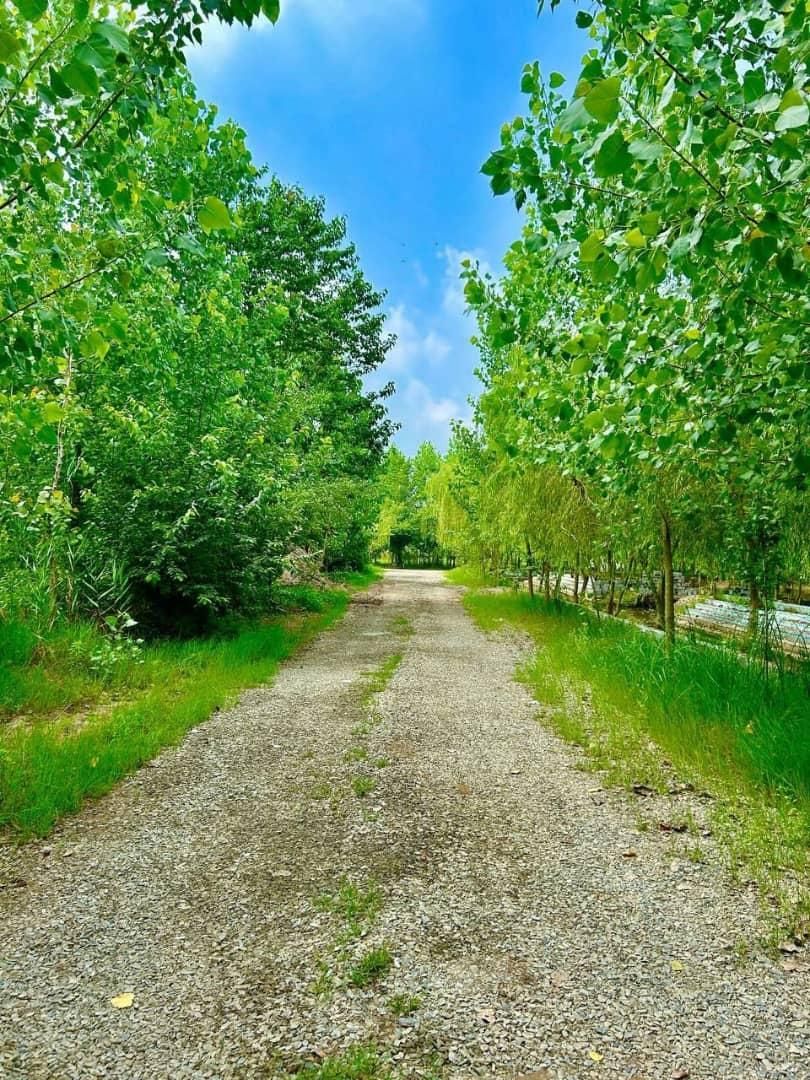 فروش ویلا به سبک وطرح سوئدی|فروش خانه و ویلا|تهران, سعیدآباد|دیوار