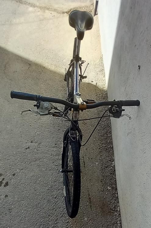 دوچرخه اساک اصلی|دوچرخه، اسکیت، اسکوتر|بجنورد, |دیوار