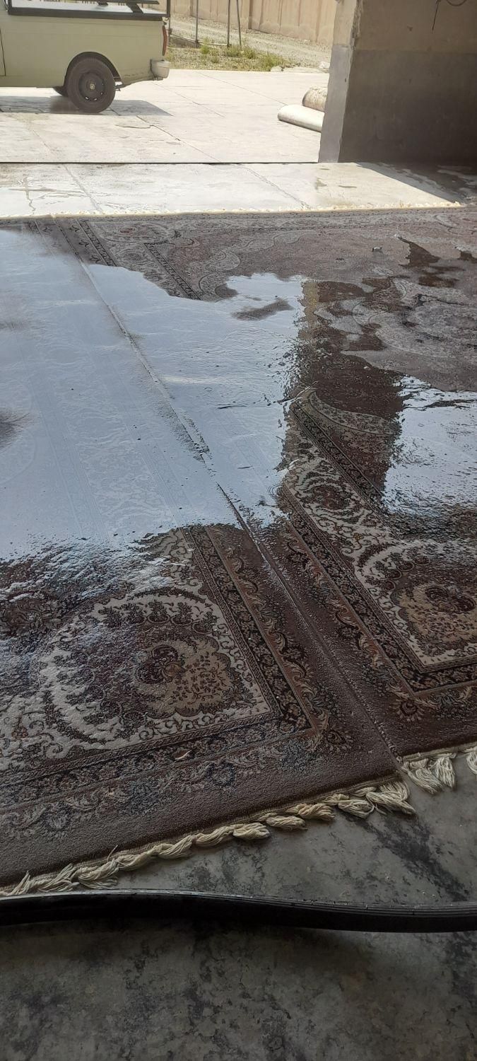 قالیشوی ملایری در پاکدشت و شریف اباد|خدمات نظافت|پاکدشت, پاکدشت (مامازند)|دیوار