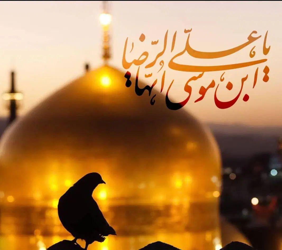 گم شدن کیف مدارک حاوی کارت سوخت ، بانکی وکارت ملی|اشیا|رفسنجان, |دیوار