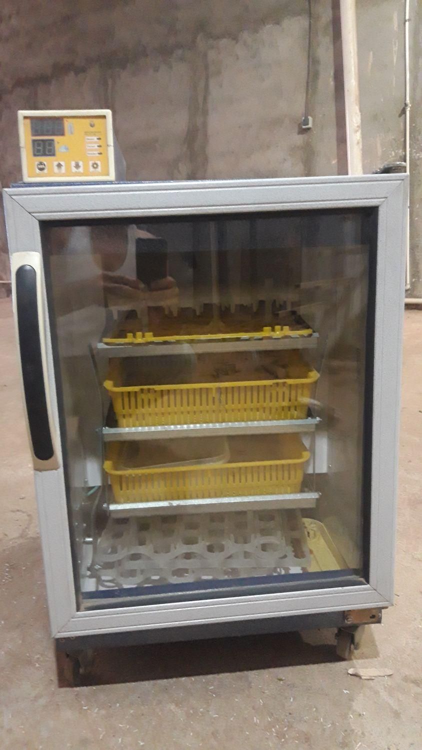 دستگاه جوجه کشی دماوند|لوازم جانبی حیوانات|قدس, شهر‌قدس|دیوار