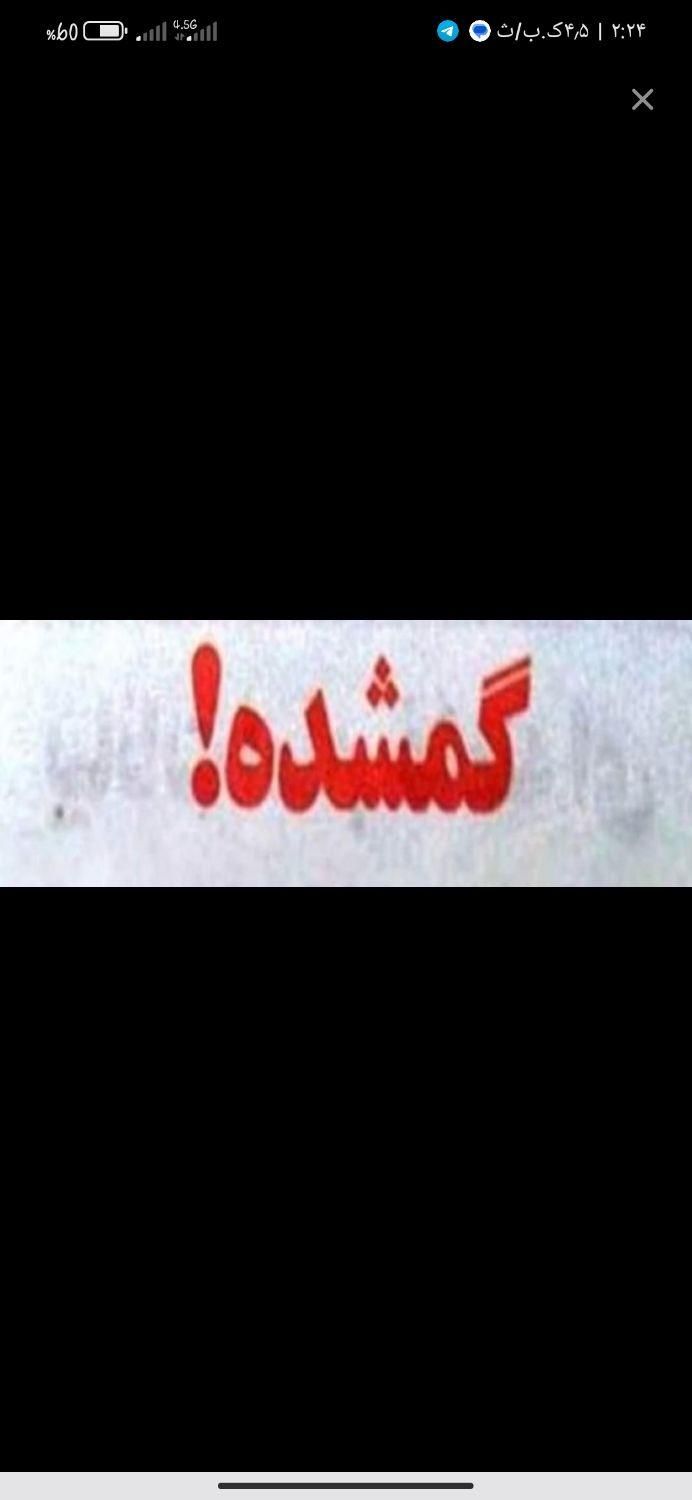 گم شدن کیف پول|اشیا|خرمشهر, |دیوار