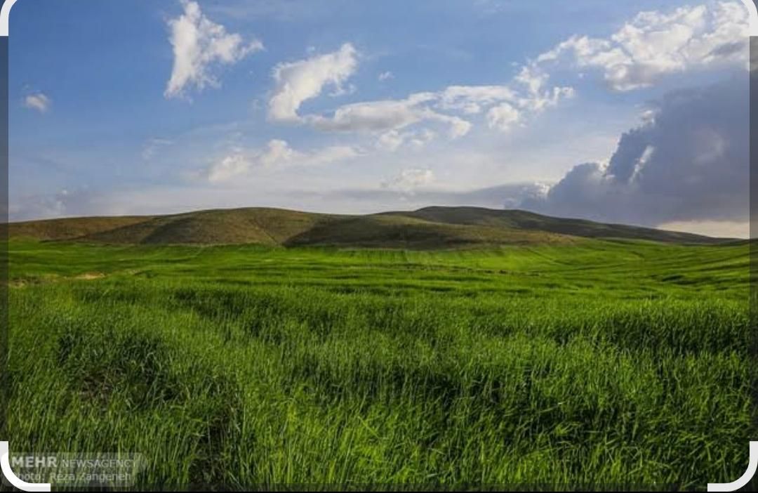 زمین ویلایی در بهترین منطقه از دهستان کارده|فروش زمین و ملک کلنگی|مشهد, کارده|دیوار