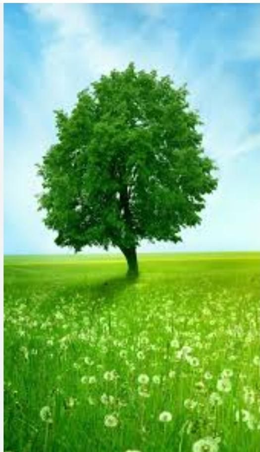 ه م پ ا برای ورزش  و طبیعت|فعالیت داوطلبانه|رشت, بازار|دیوار