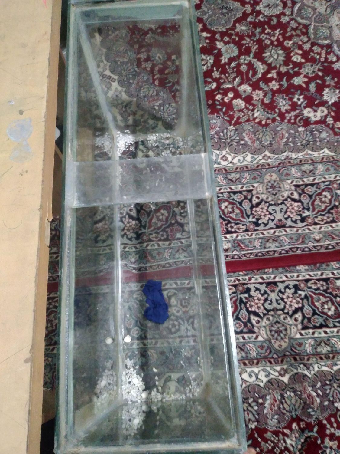 اکواریوم|ماهی|تویسرکان, |دیوار