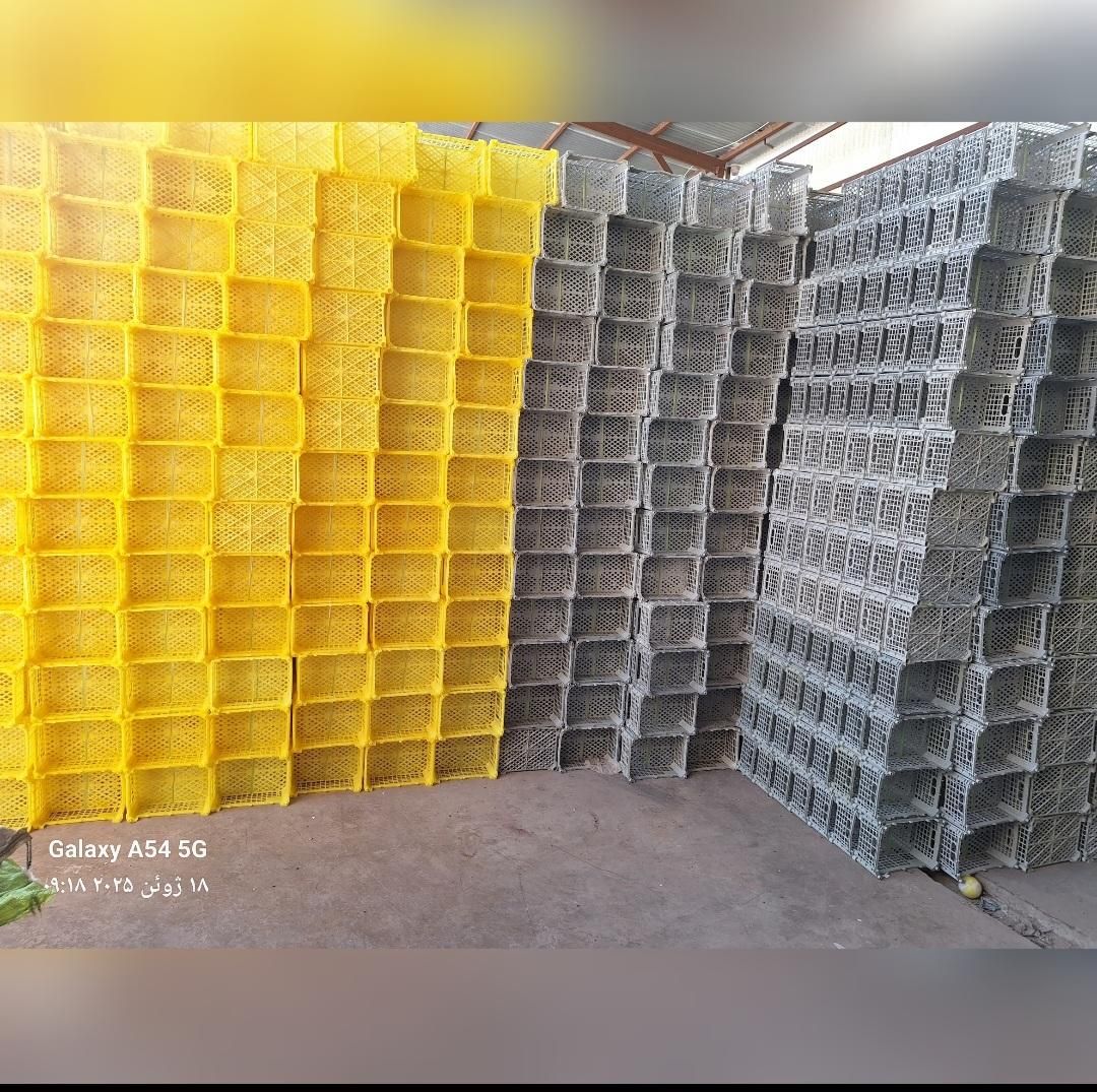 انواع سبدمیوه و سبدهای لبنی .پالت و بشکه پلاستیکی|ظروف نگهدارنده، پلاستیکی، یک‌بارمصرف|نیشابور, خیام|دیوار