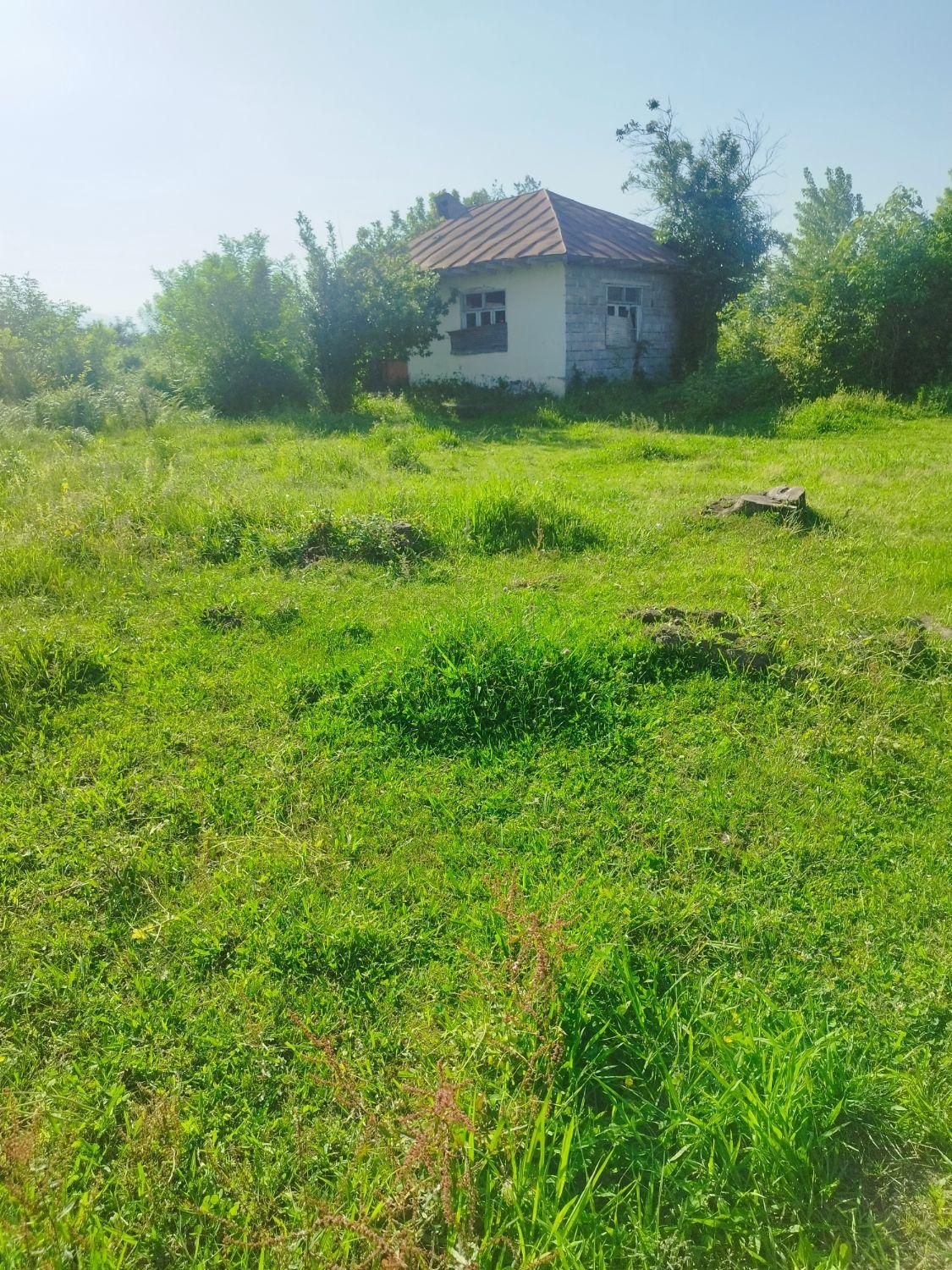 350مترزمین بابنای کلنگی روستایی نزدیک شهر|فروش زمین و ملک کلنگی|رضوانشهر, |دیوار