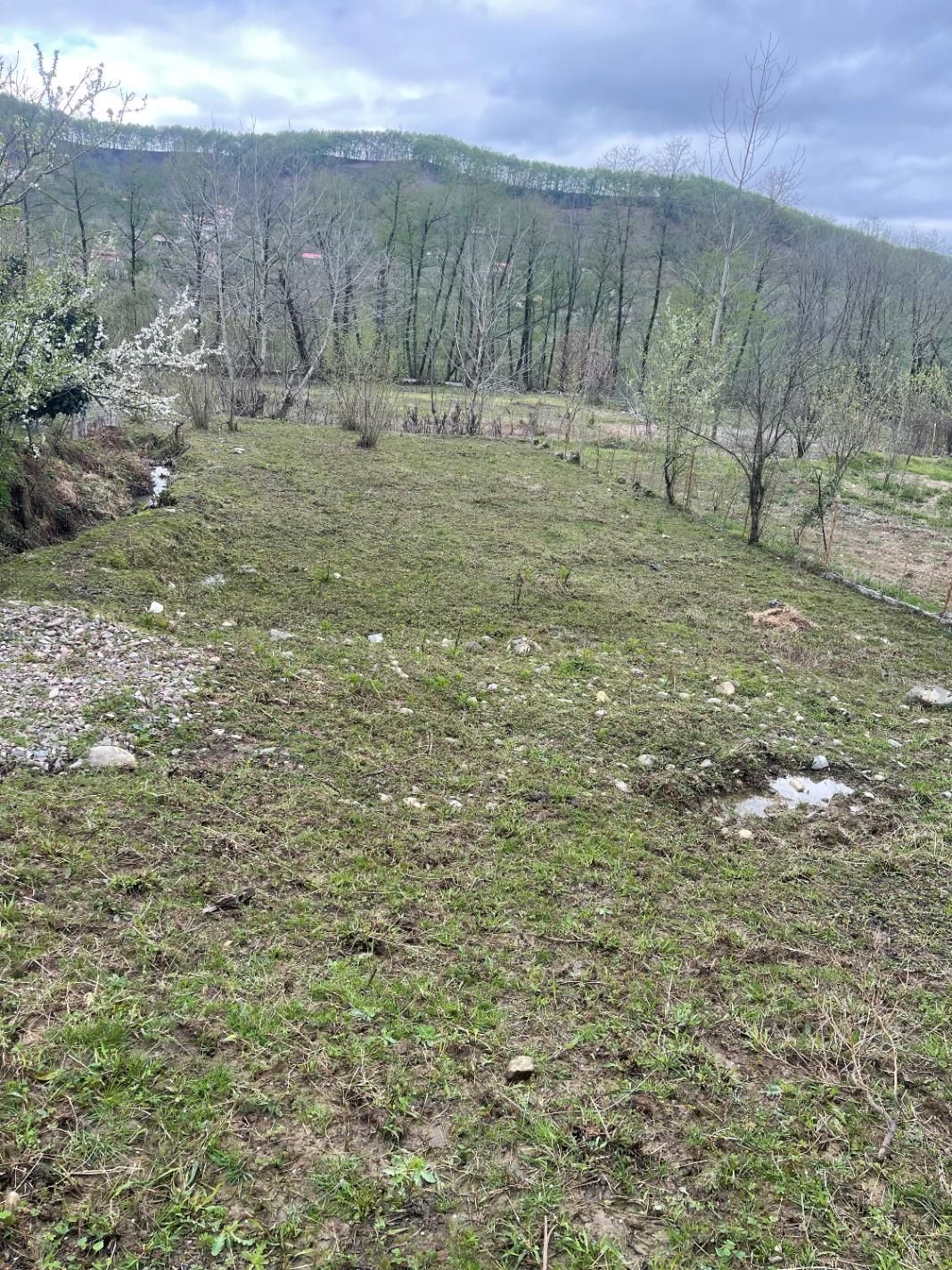 زمین به متراژ ۵۹۷ متر همراه با جواز دوبلکس|فروش زمین و ملک کلنگی|سیاهکل, |دیوار