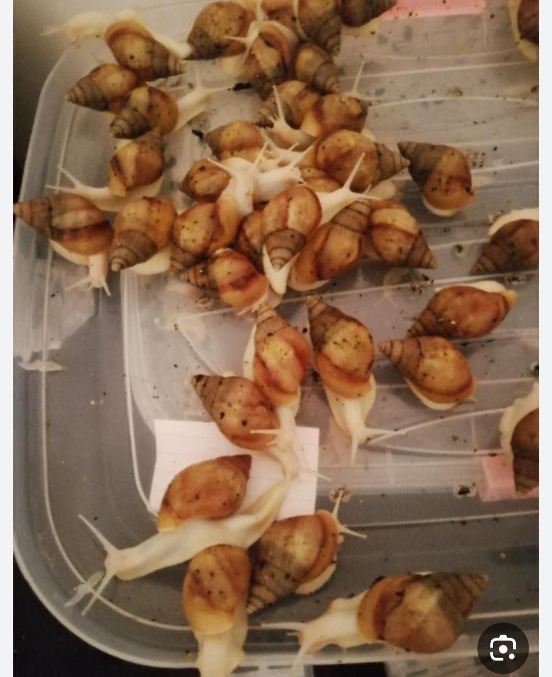 با حداقل سرمایه کار پر سود داشته باشید|استخدام بازاریابی و فروش|برازجان, |دیوار