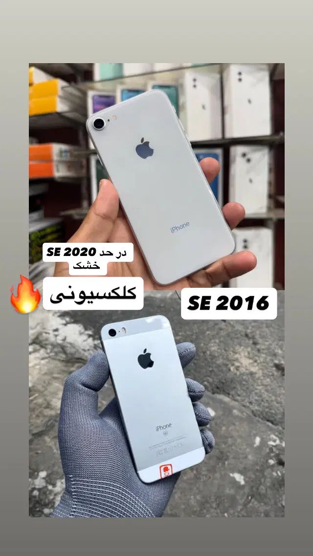 آیفونSE 2020 اپل5sاپلSE 2016کلکسیونی|موبایل|مشهد, امیریه|دیوار