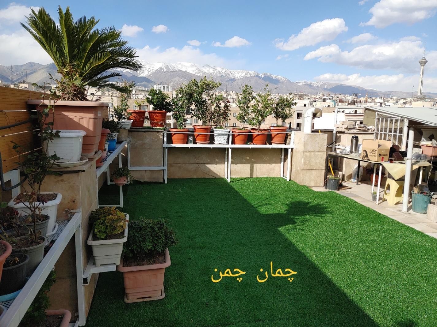 مرکز توزیع چمن مصنوعی|خدمات باغبانی و درختکاری|کرج, بهشت سکینه|دیوار