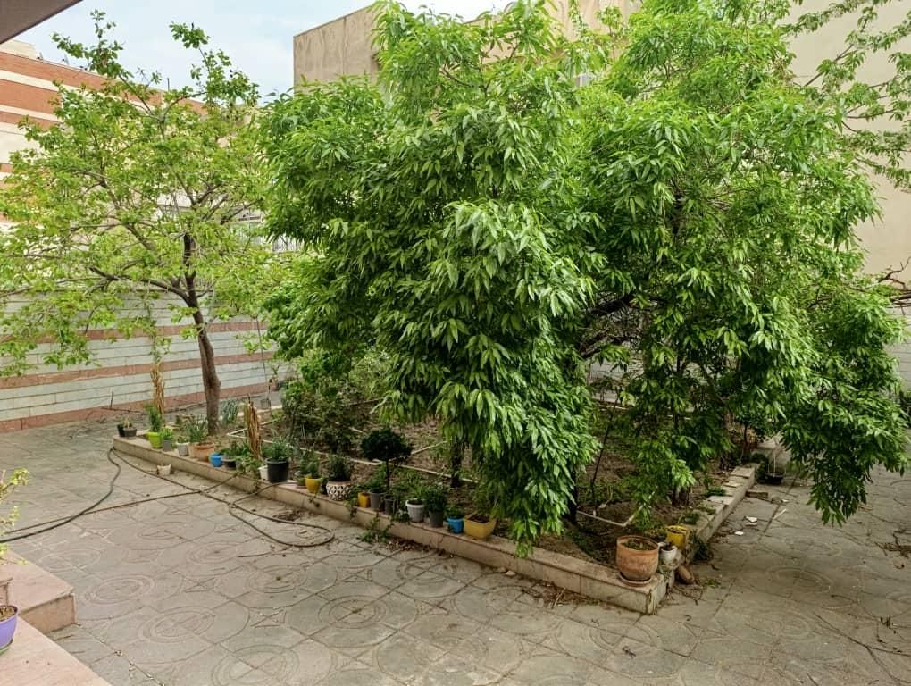 ۵۰۰ متر ستغلات  مناسب اموزشگاه های معتبر|اجارهٔ دفتر کار، اتاق اداری، مطب|تهران, کوی فردوس|دیوار