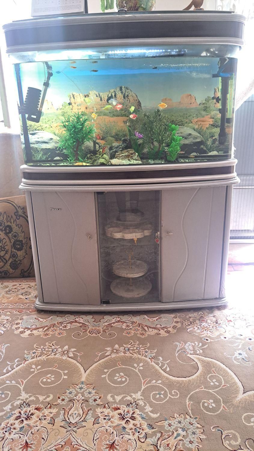 آکواریم و کمد|ماهی|مشهد, انقلاب|دیوار