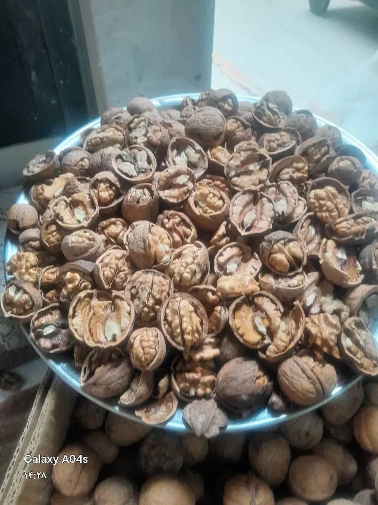 اجاره گردو و بادام تکاندن گردو|خدمات باغبانی و درختکاری|اصفهان, تیران|دیوار