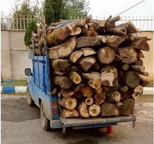 خرید درخت و چوب|خدمات باغبانی و درختکاری|مرند, |دیوار