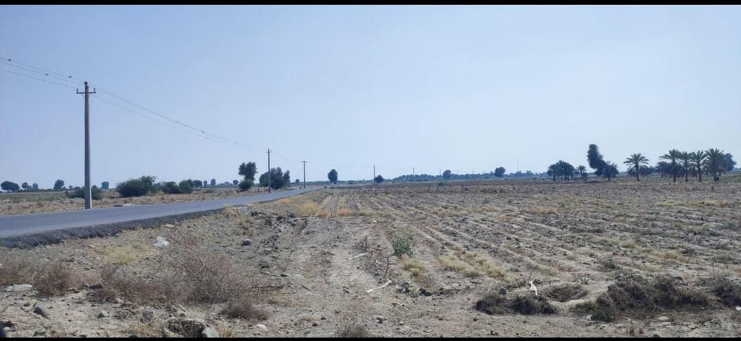 فروش سه هکتارونیم زمین کشاورزی زیارت مولامیناب|فروش دفتر صنعتی، کشاورزی، تجاری|میناب, |دیوار