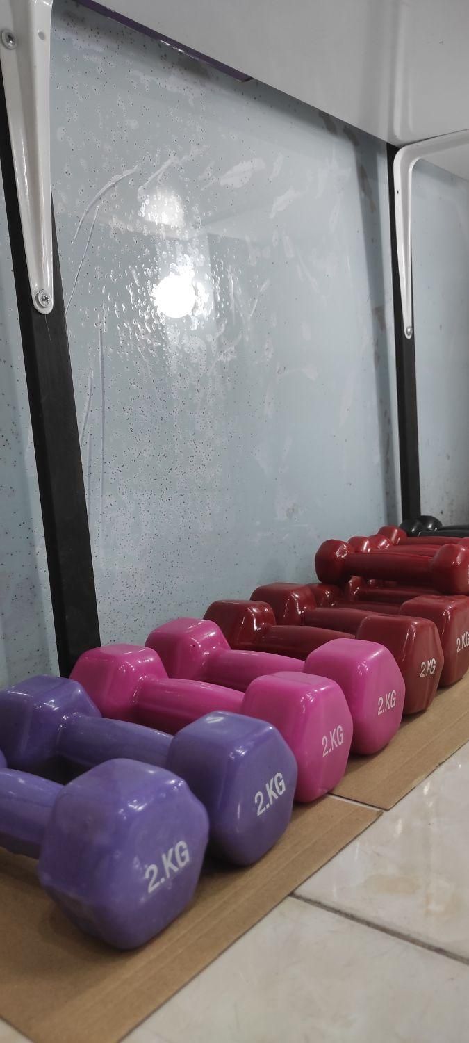 دمبل رنگی دمبل بانوان|تجهیزات ورزشی|شیراز, طلاب|دیوار