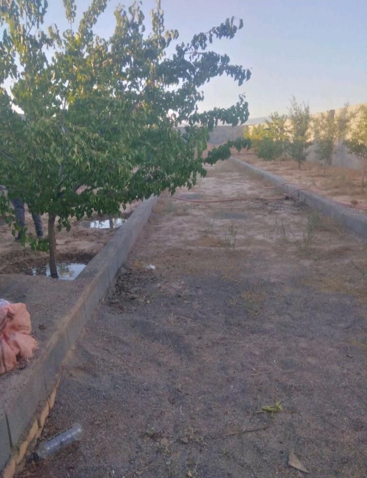فروش زمین ۵۰۰ متری در روستای زاگ|فروش زمین و ملک کلنگی|مشهد, درزآب|دیوار