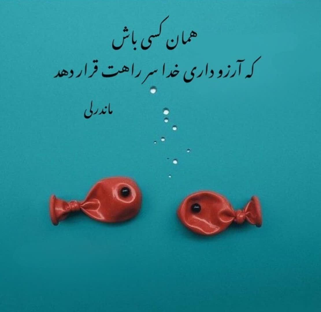 نیاز به هم فکری|فعالیت داوطلبانه|تهران, شهرآرا|دیوار