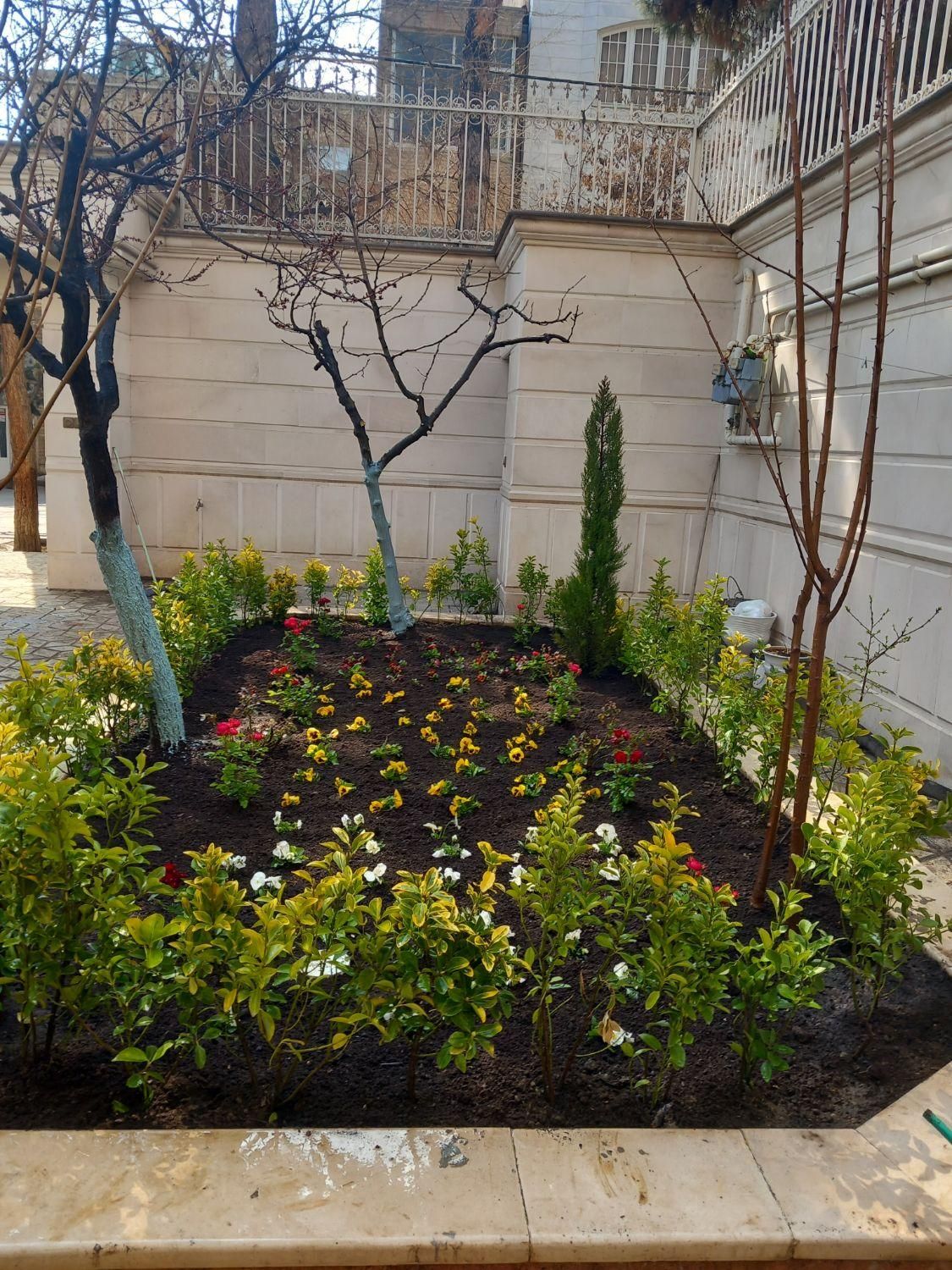 باغبانی و سمپاشی درختان در تمام نقاط شهر|خدمات باغبانی و درختکاری|مشهد, توس (بلوار توس)|دیوار