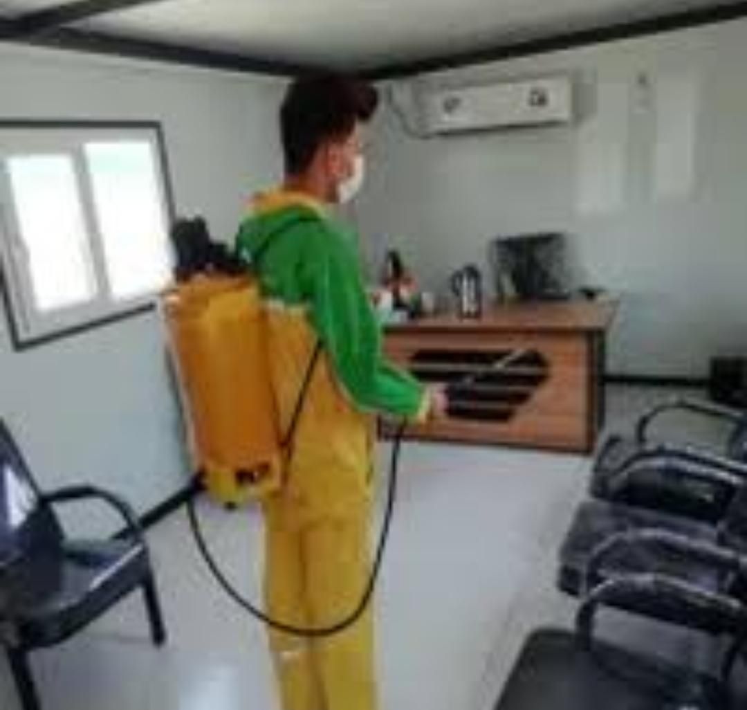 سمپاشی کنه ساس موریانه سوسک موش مورچ زنبورسمپاشی|خدمات نظافت|مشهد, وکیلآباد|دیوار