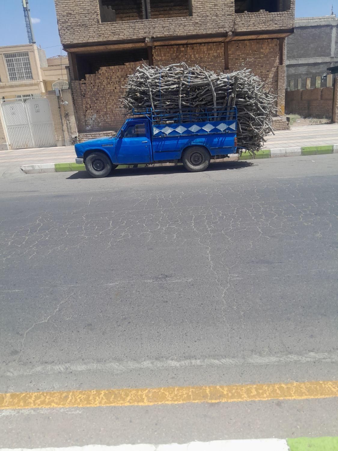 خریدانواع چوب درخت|خدمات باغبانی و درختکاری|سیرجان, |دیوار