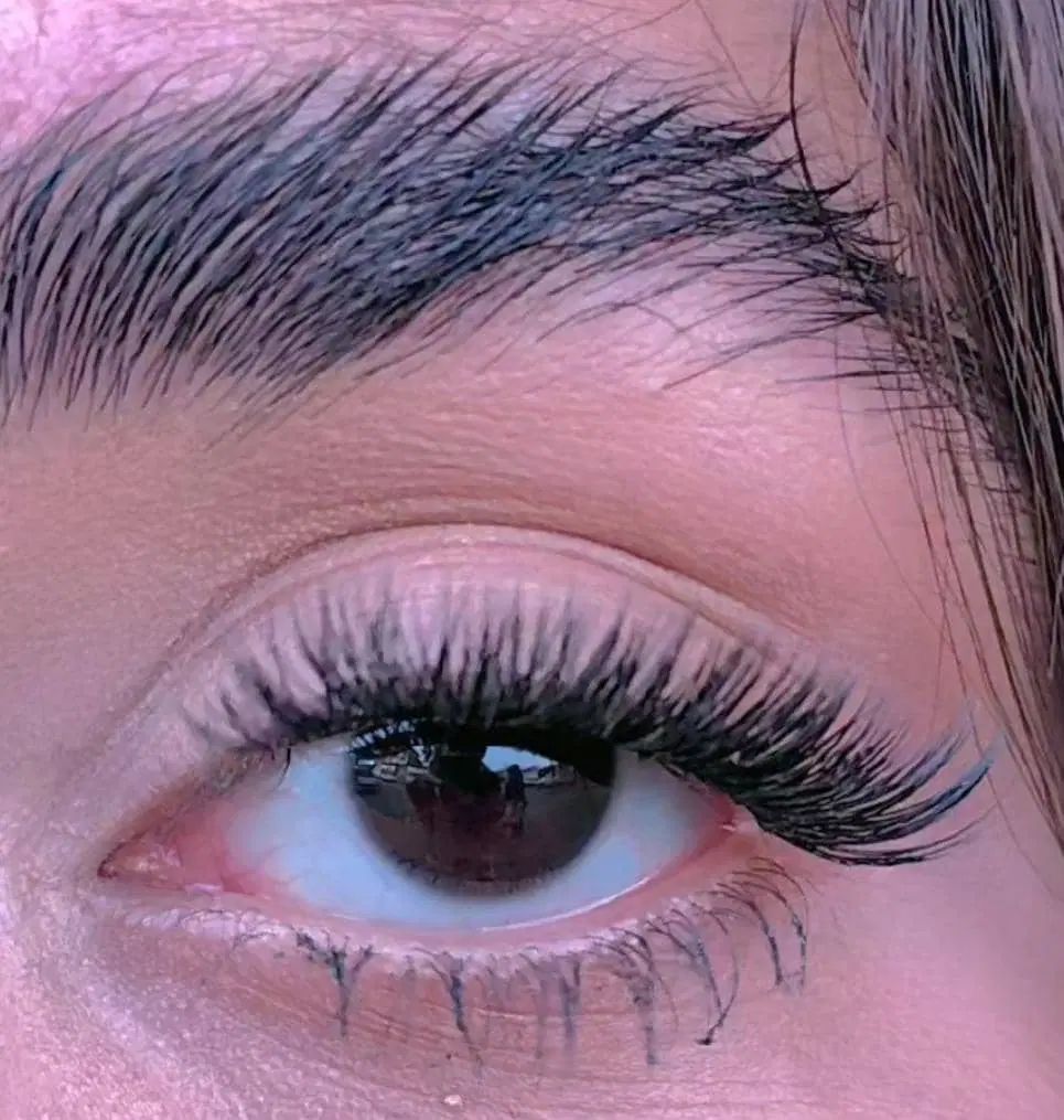 مدل کاشت مژه هیدن|خدمات آرایشگری و زیبایی|رشت, دیانتی|دیوار