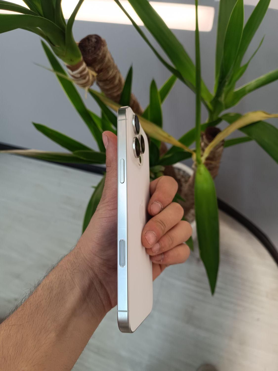 Iphone 16 promax|موبایل|اصفهان, باغ نگاره|دیوار