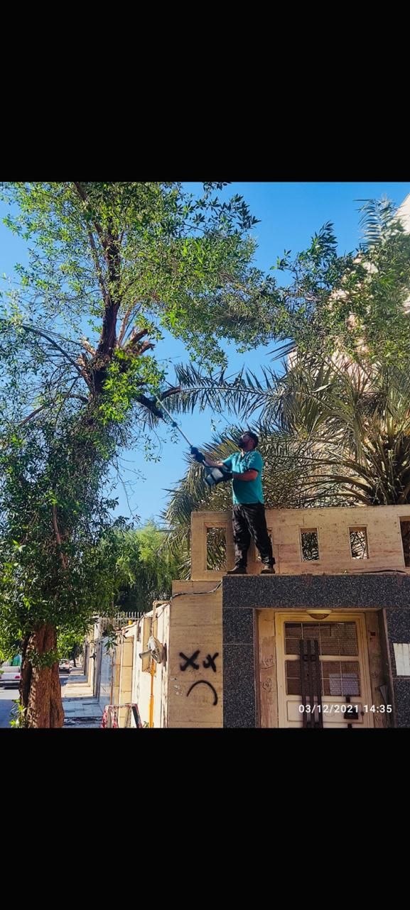 درخت بری ،رایگان قطع،بریدن درخت،هرسکاری اره|خدمات باغبانی و درختکاری|اهواز, پادادشهر|دیوار