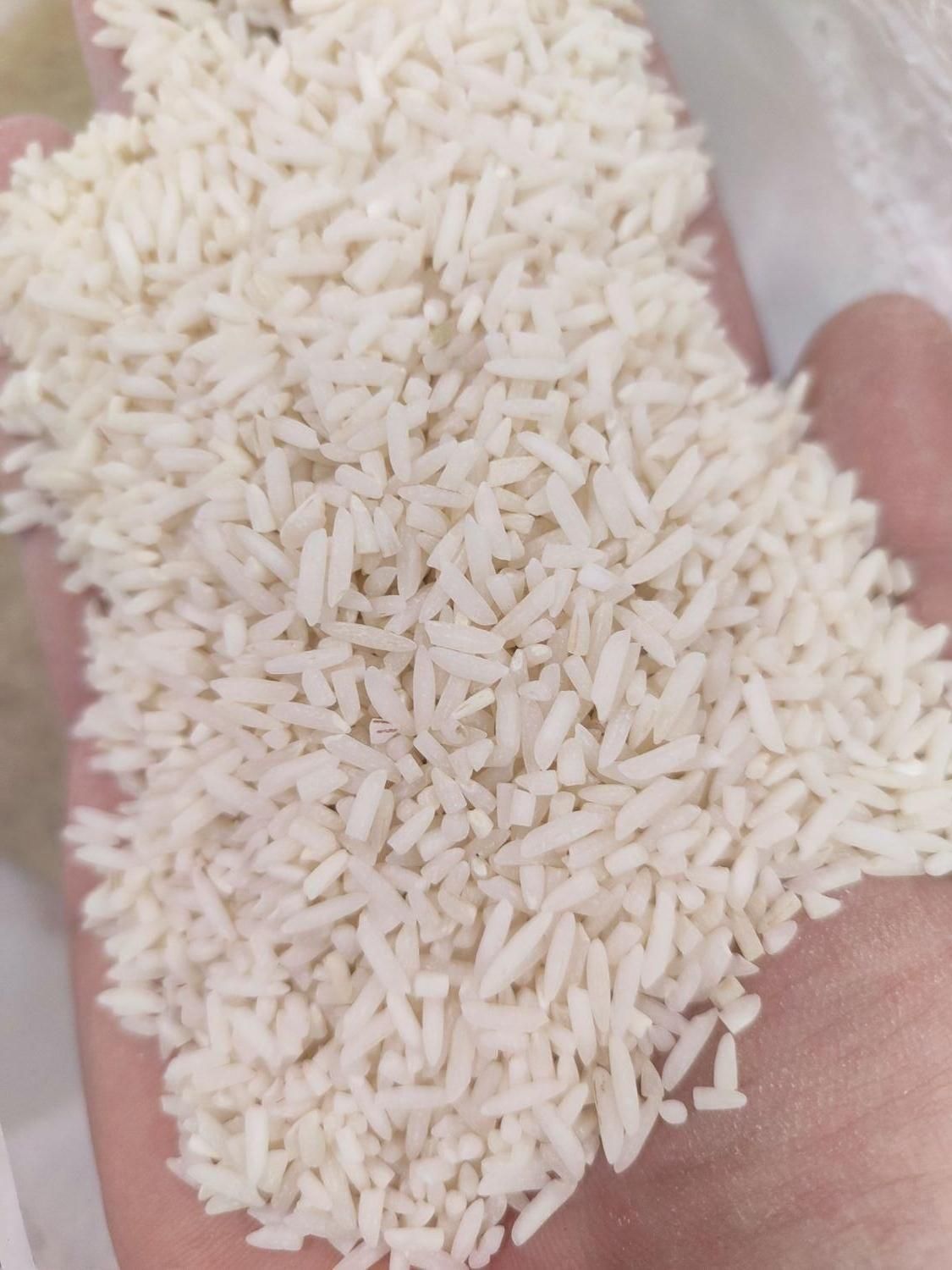 برنج سرلاشه هاشمی معطر|خوردنی و آشامیدنی|زنجان, |دیوار