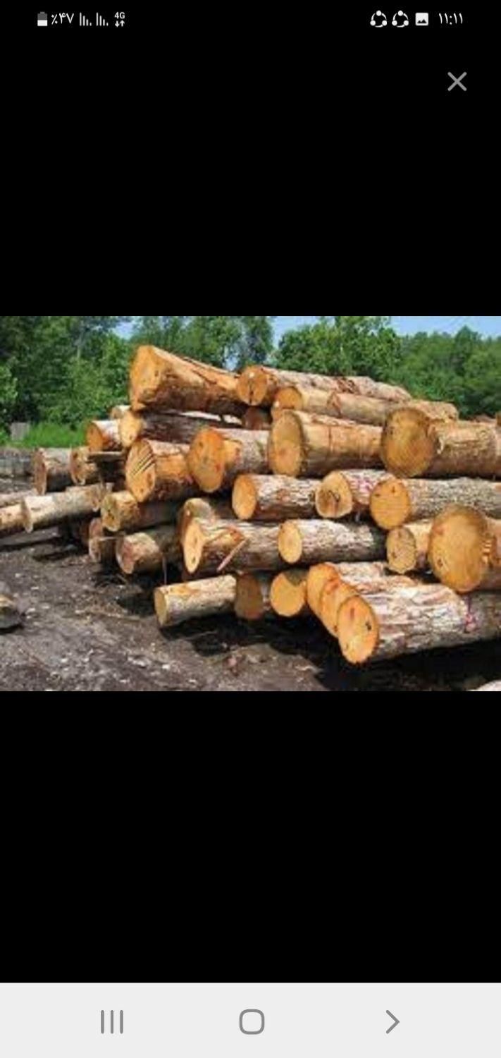 خرید چوب|خدمات باغبانی و درختکاری|خرمآباد, |دیوار