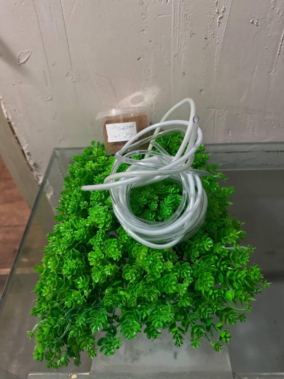 اکواریوم با شیشه و پایه و تمامی وسایل|ماهی|تهران, افسریه شمالی|دیوار