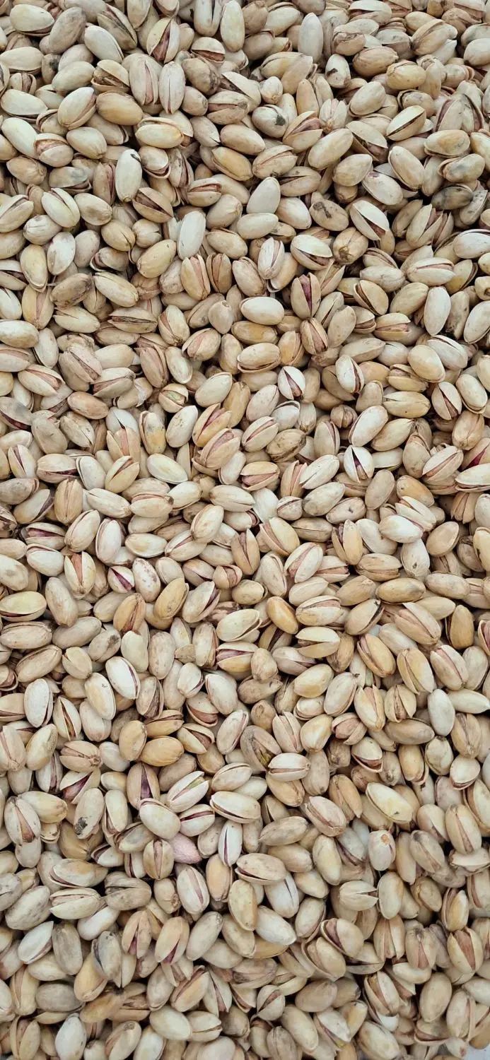 پسته ی تازه بدون پوست|خوردنی و آشامیدنی|مشهد, گلبرگ شمالی|دیوار