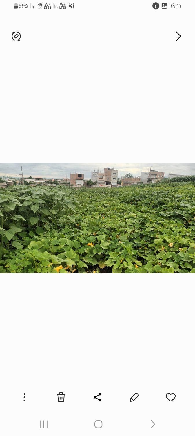 فروش ۳۰۰۰متر زمین پرسه سو|فروش زمین و ملک کلنگی|مینودشت, |دیوار