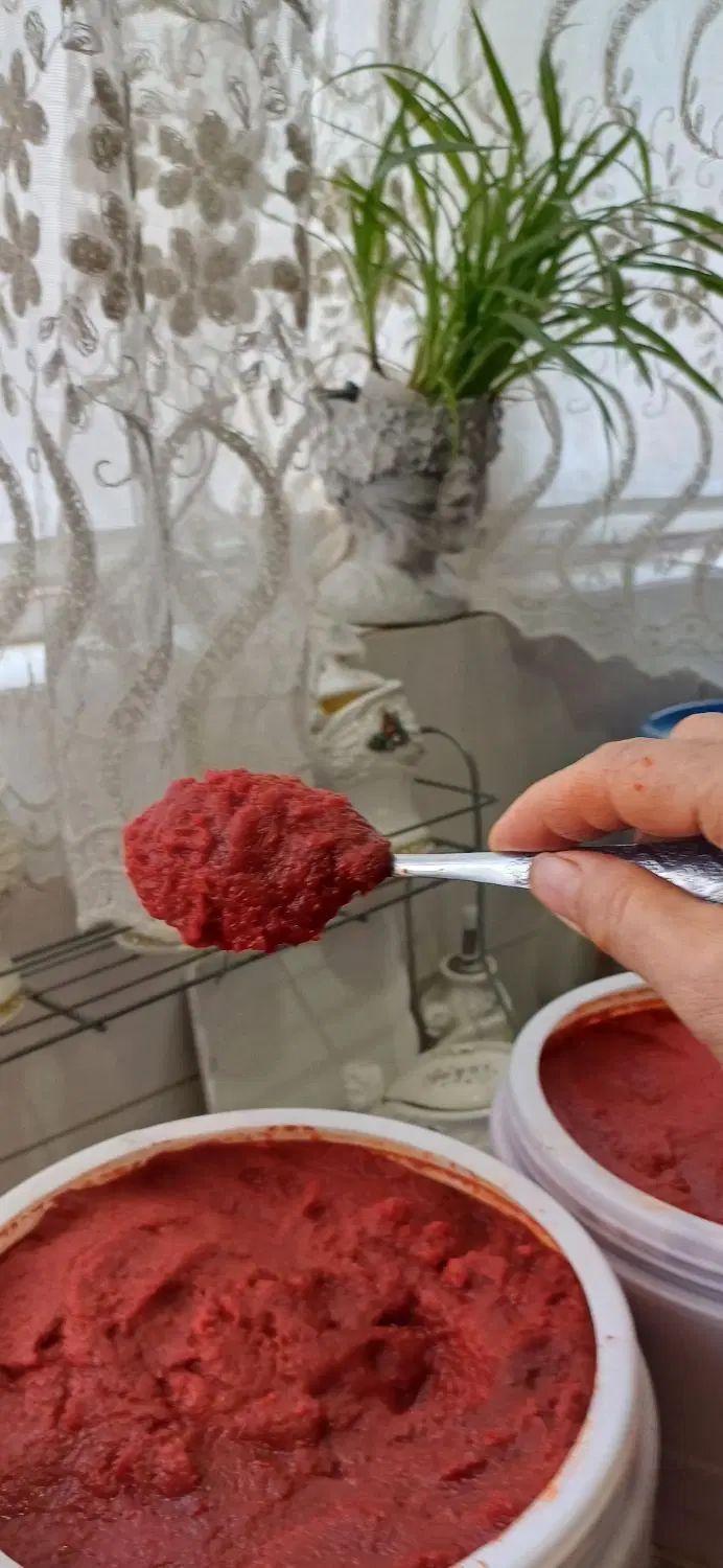 رب گوجه فرنگی خونگی   ولایتی خیلی ترش مزه وخوش رنگ|خوردنی و آشامیدنی|نیشابور, شهرک رسولی|دیوار
